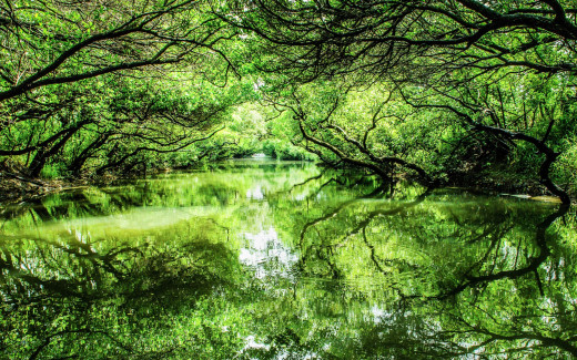 1381097 (a): :2560x1600